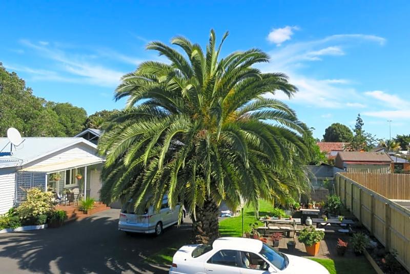 Roselands Motel Tauranga Zewnętrze zdjęcie